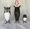 Metal Curios - Bird Owl Large x1 - Unit