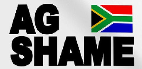 Salt - Stickers - AG SHAME