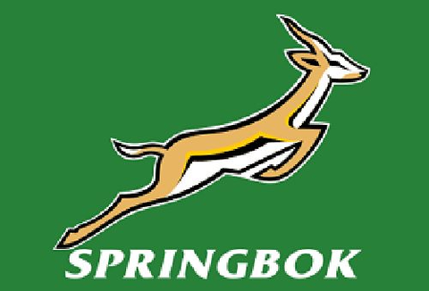Salt Stickers - SPRINGBOK - 17cmx5.5cm